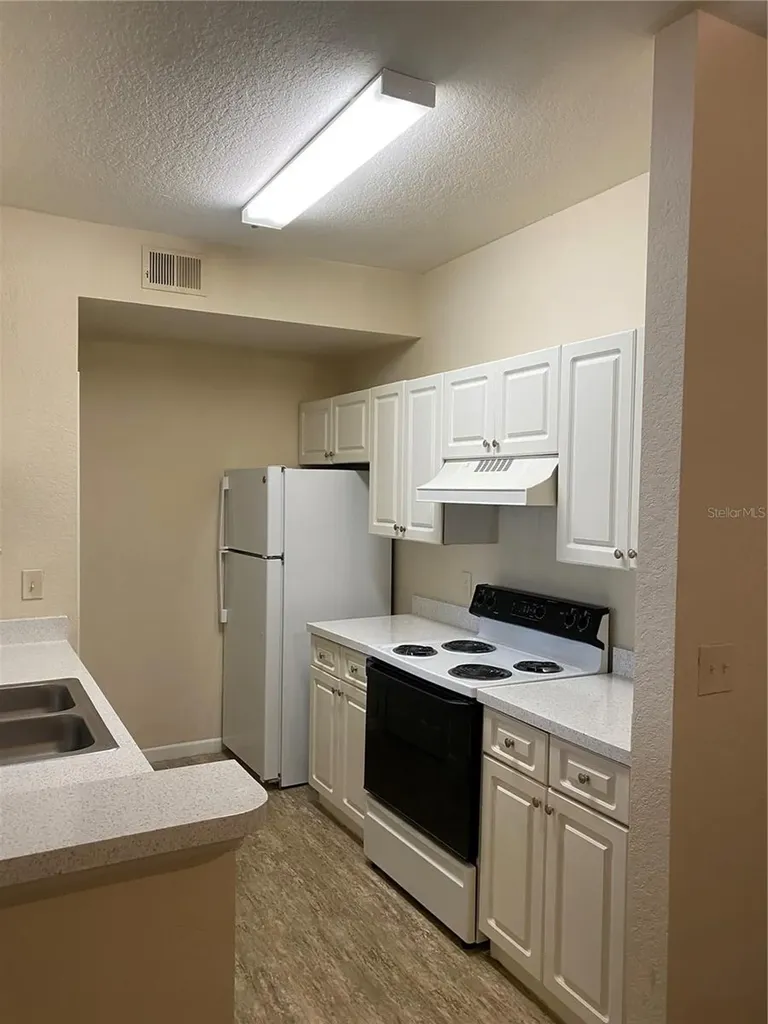 17110 Carrington Park Drive Tampa FL 33647
