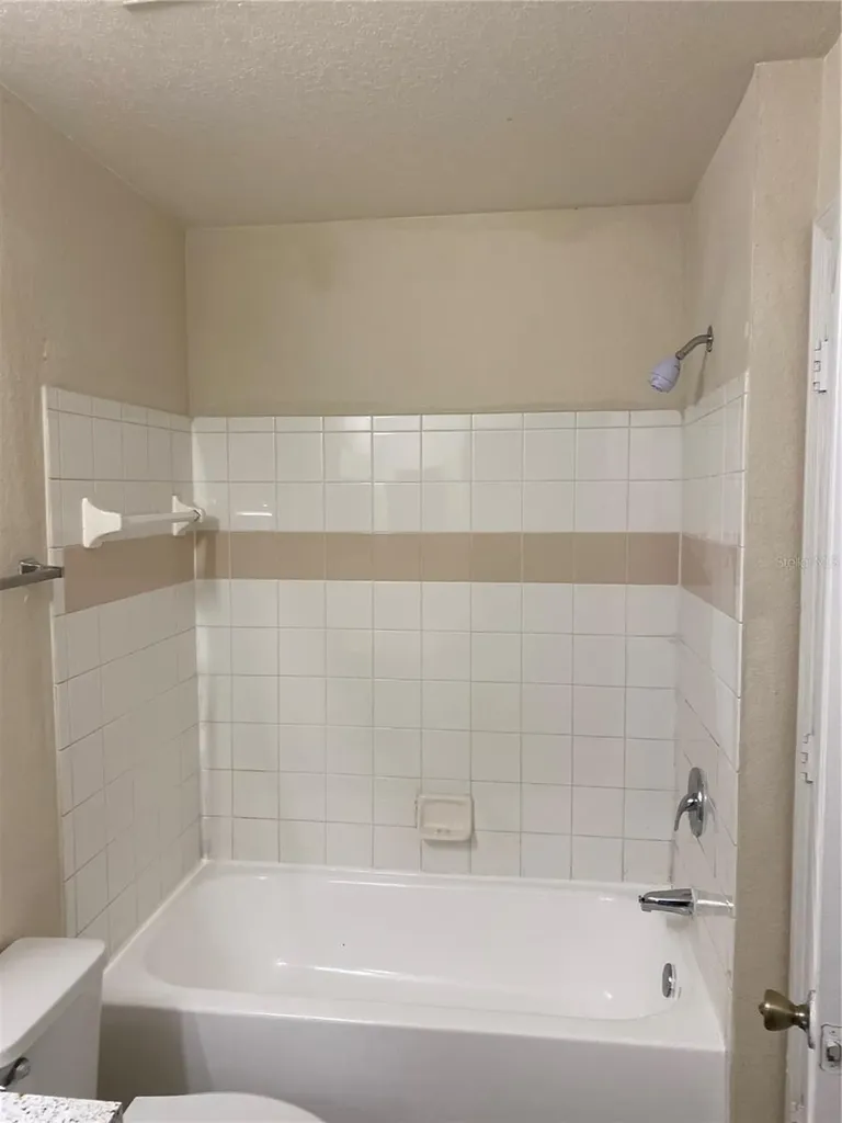 17110 Carrington Park Drive Tampa FL 33647
