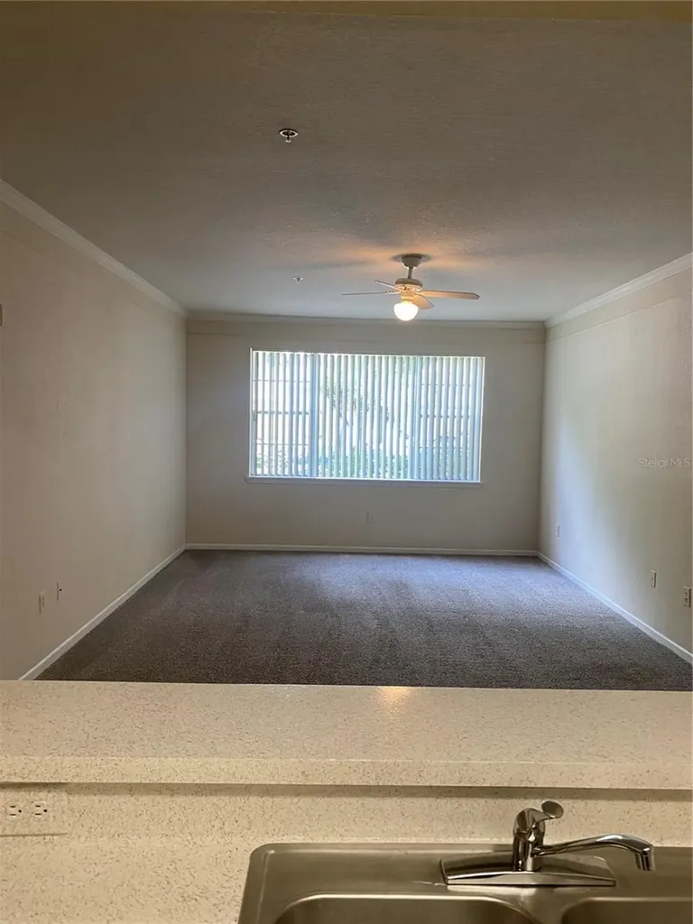 17110 Carrington Park Drive Tampa FL 33647