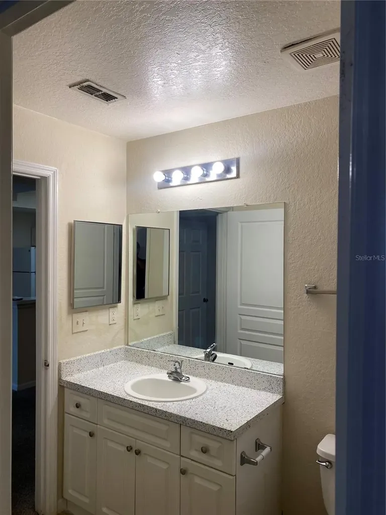 17110 Carrington Park Drive Tampa FL 33647