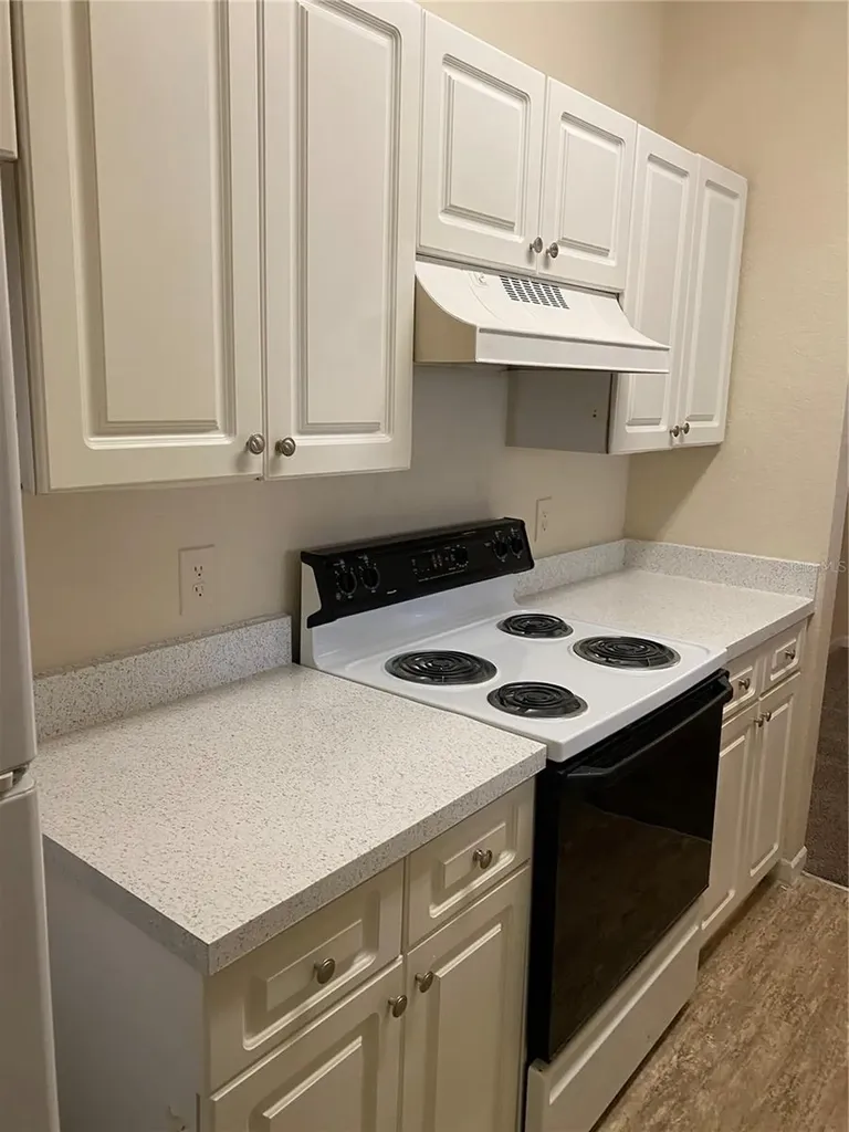 17110 Carrington Park Drive Tampa FL 33647