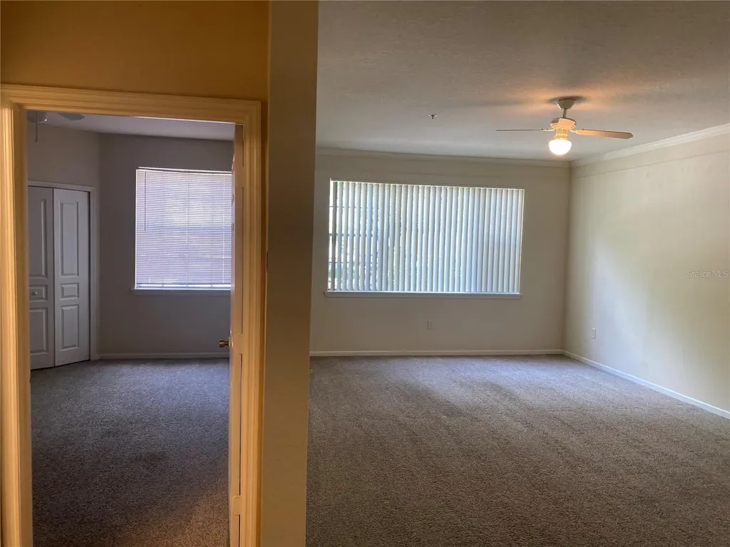 17110 Carrington Park Drive Tampa FL 33647