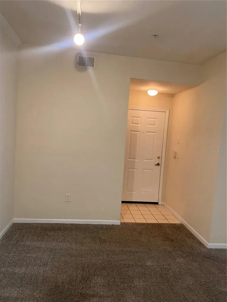 17110 Carrington Park Drive Tampa FL 33647