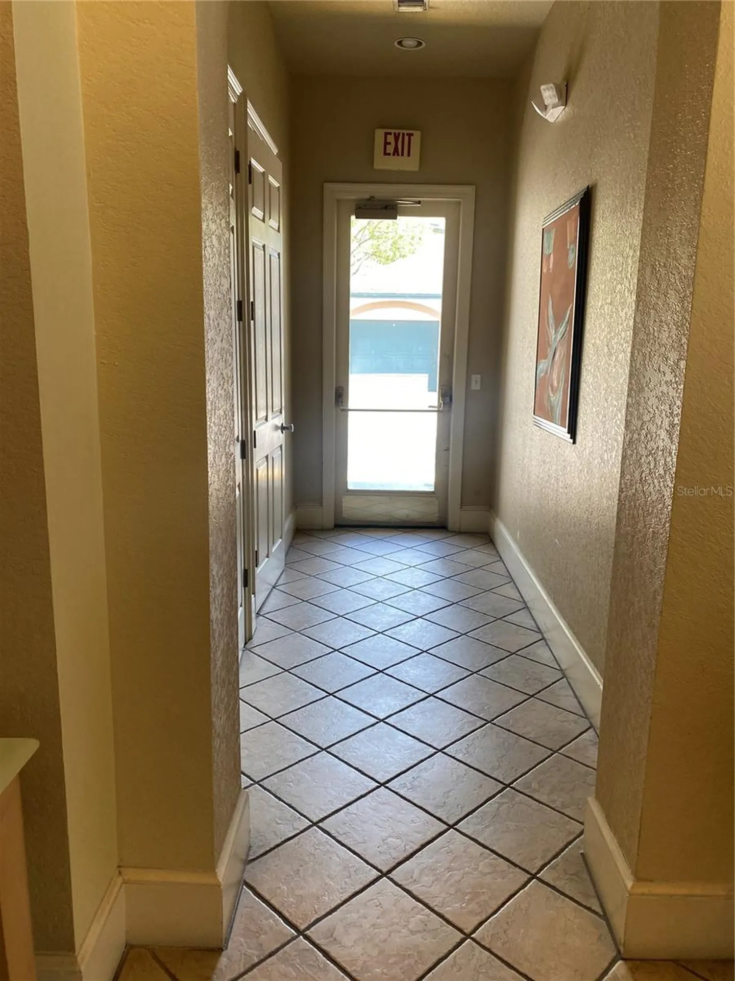 17110 Carrington Park Drive Tampa FL 33647