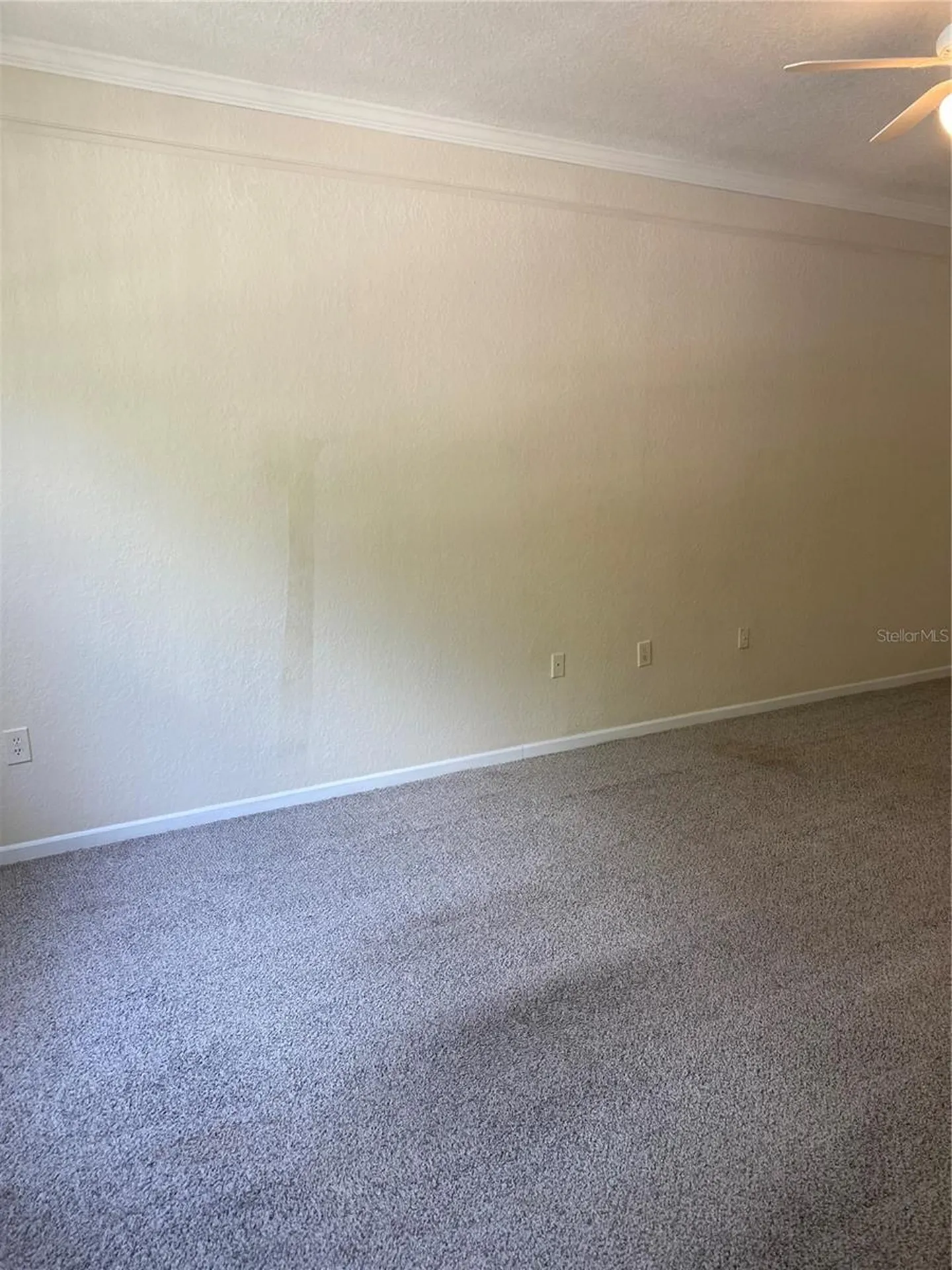 17110 Carrington Park Drive Tampa FL 33647