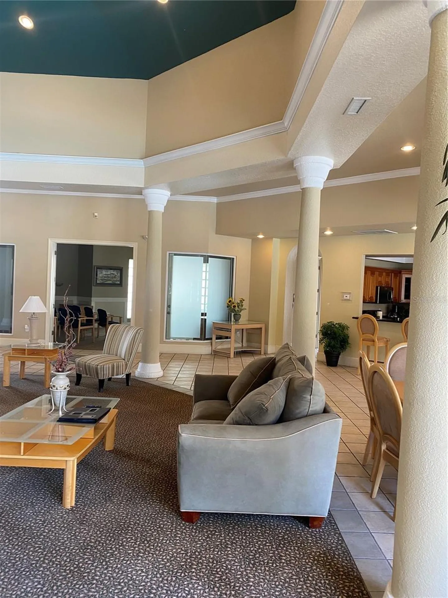 17110 Carrington Park Drive Tampa FL 33647