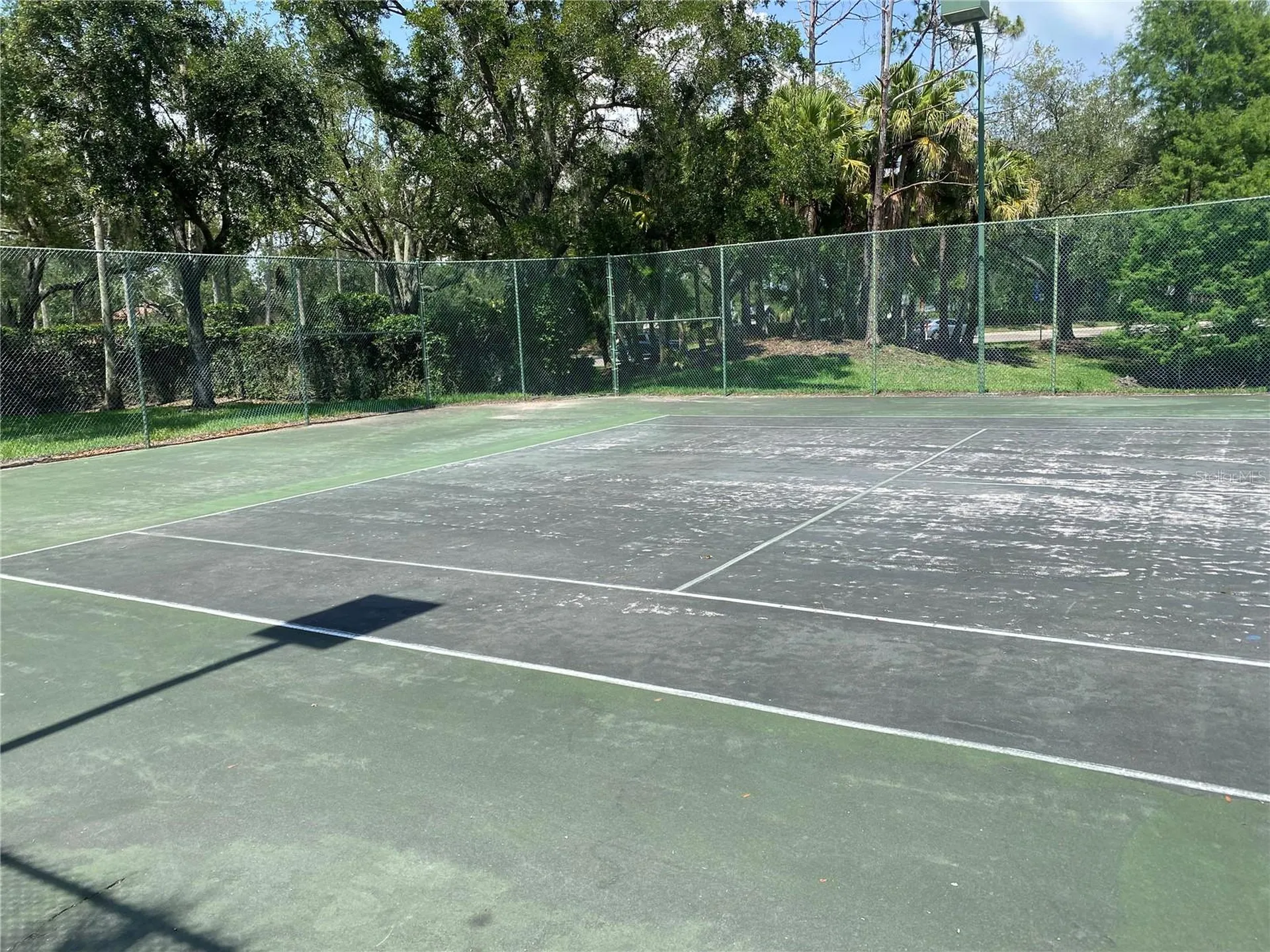 17110 Carrington Park Drive Tampa FL 33647