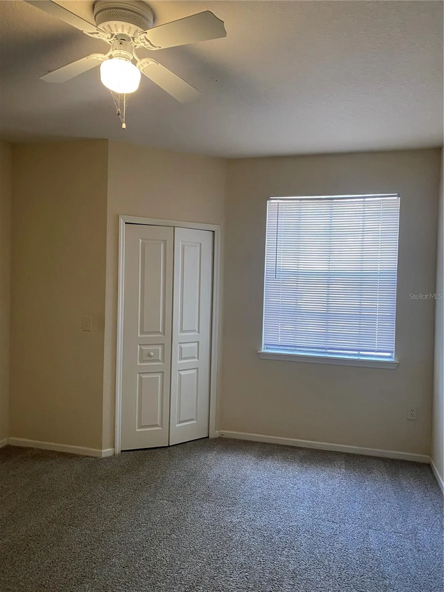 17110 Carrington Park Drive Tampa FL 33647