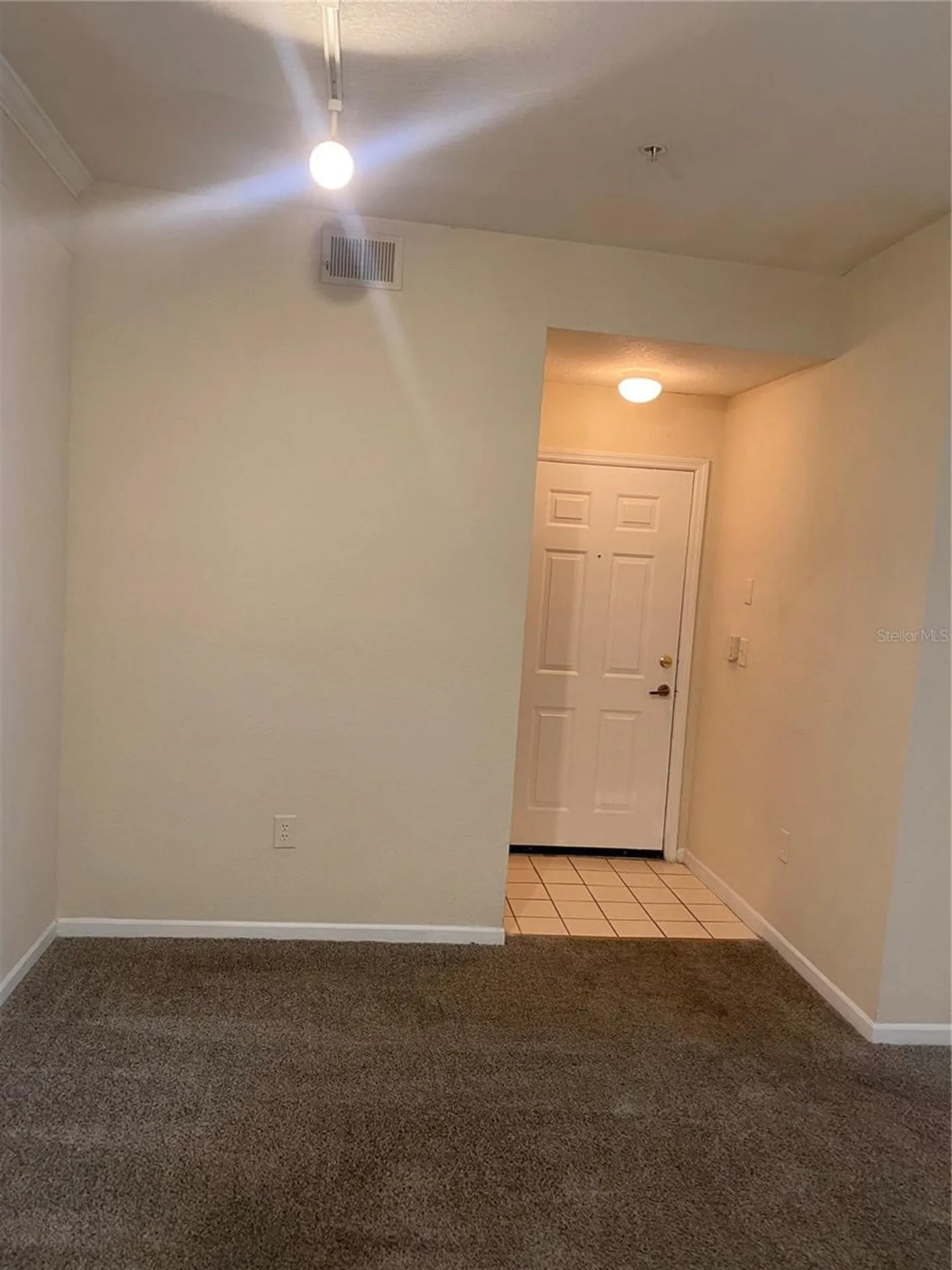 17110 Carrington Park Drive Tampa FL 33647