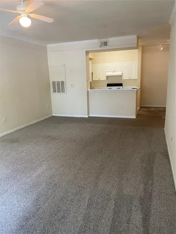 17110 Carrington Park Drive Tampa FL 33647