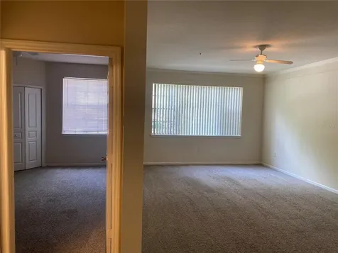 17110 Carrington Park Drive Tampa FL 33647