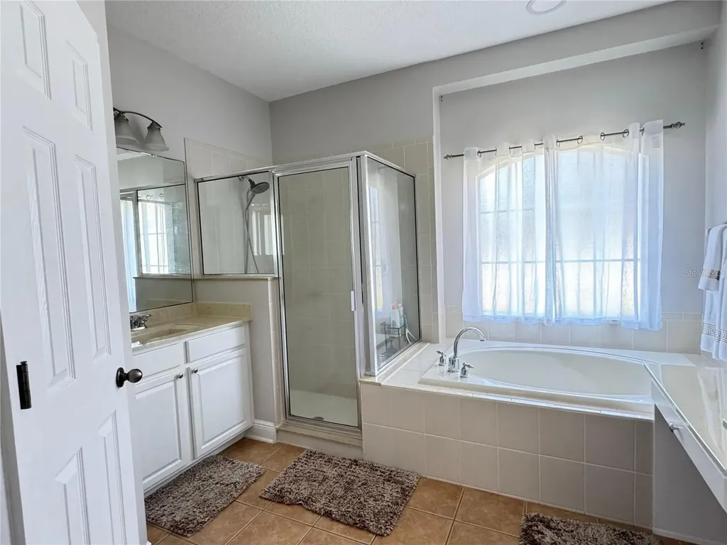 15336 Firelight Drive Winter Garden FL 34787