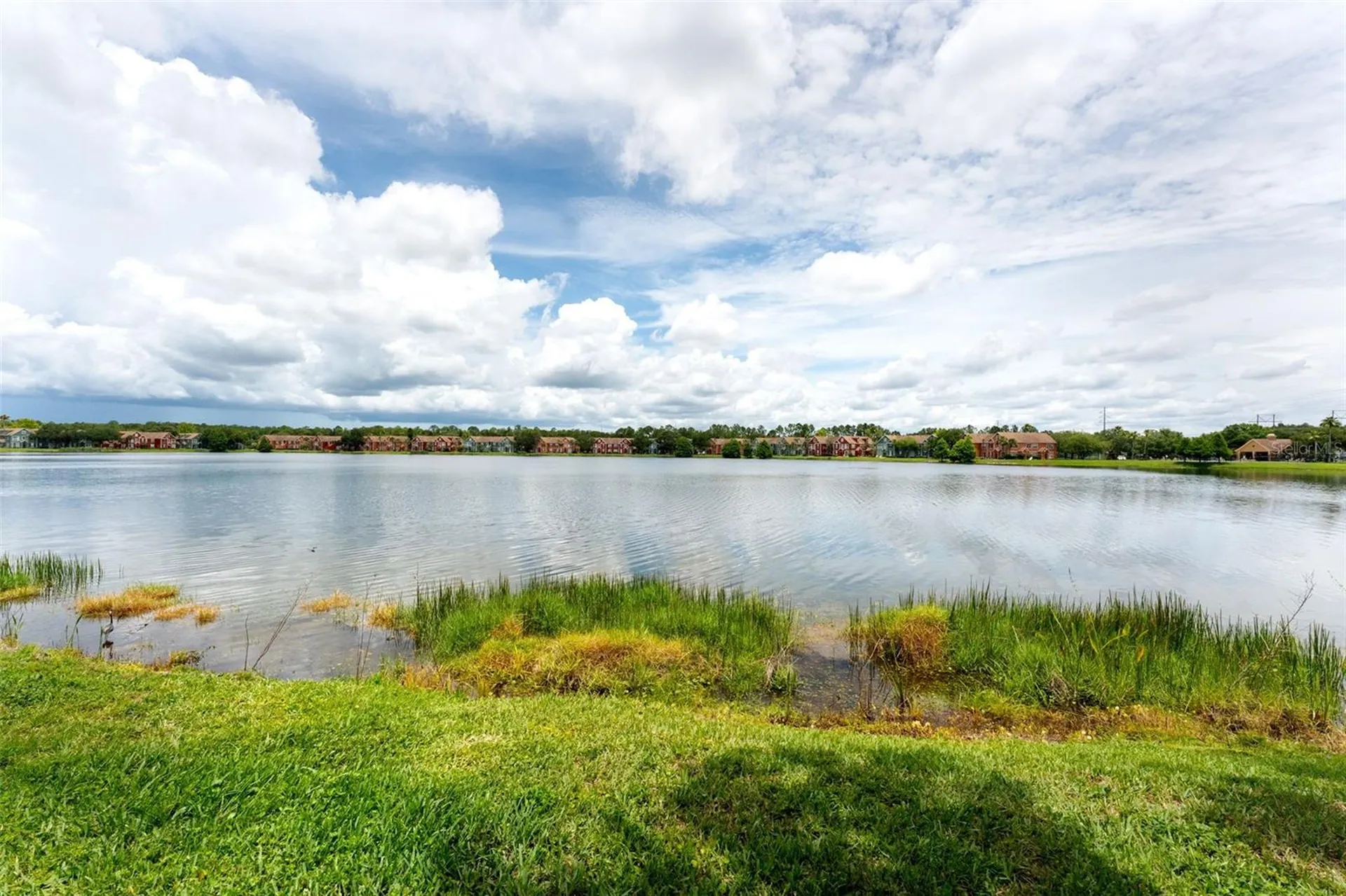 9714 Lake Chase Island Way Tampa FL 33626