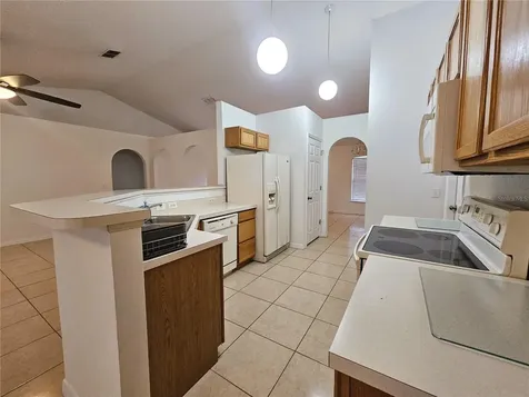 1017 White Bark Court Minneola FL 34715