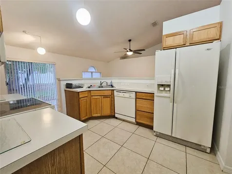 1017 White Bark Court Minneola FL 34715