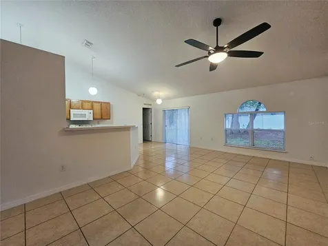 1017 White Bark Court Minneola FL 34715