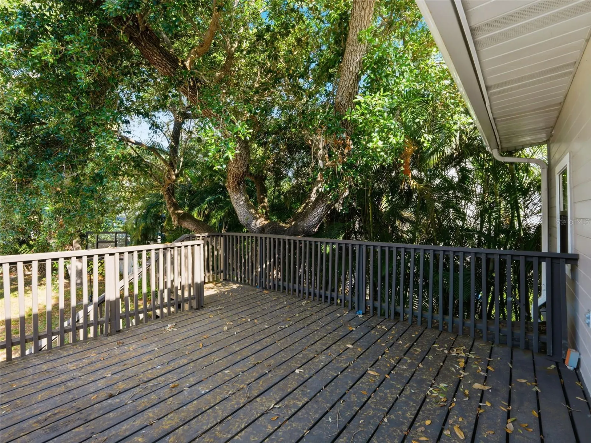 2607 W Wyoming Avenue Tampa FL 33611
