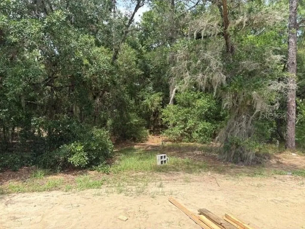 17889 SW 61st Lane Road Dunnellon FL 34432