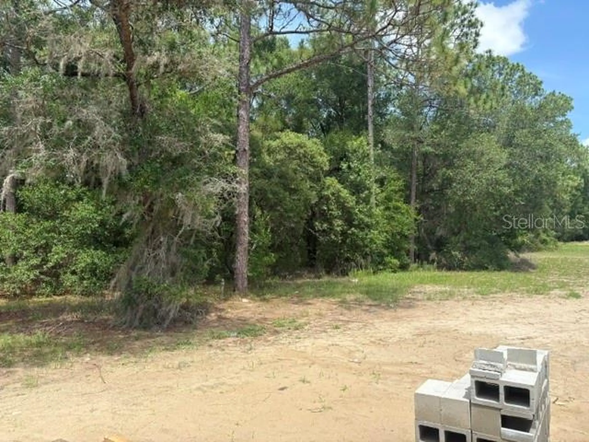 17889 SW 61st Lane Road Dunnellon FL 34432