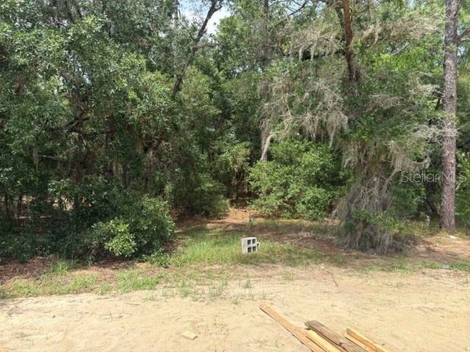 17889 SW 61st Lane Road Dunnellon FL 34432