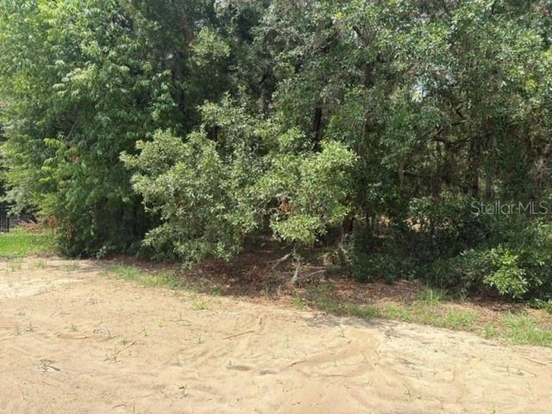 17889 SW 61st Lane Road Dunnellon FL 34432