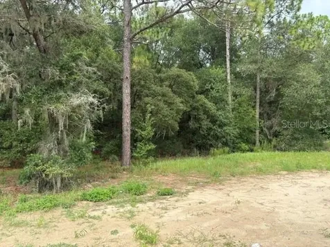 17889 SW 61st Lane Road Dunnellon FL 34432