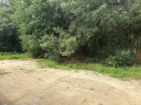 17889 SW 61st Lane Road Dunnellon FL 34432
