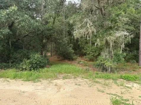17889 SW 61st Lane Road Dunnellon FL 34432