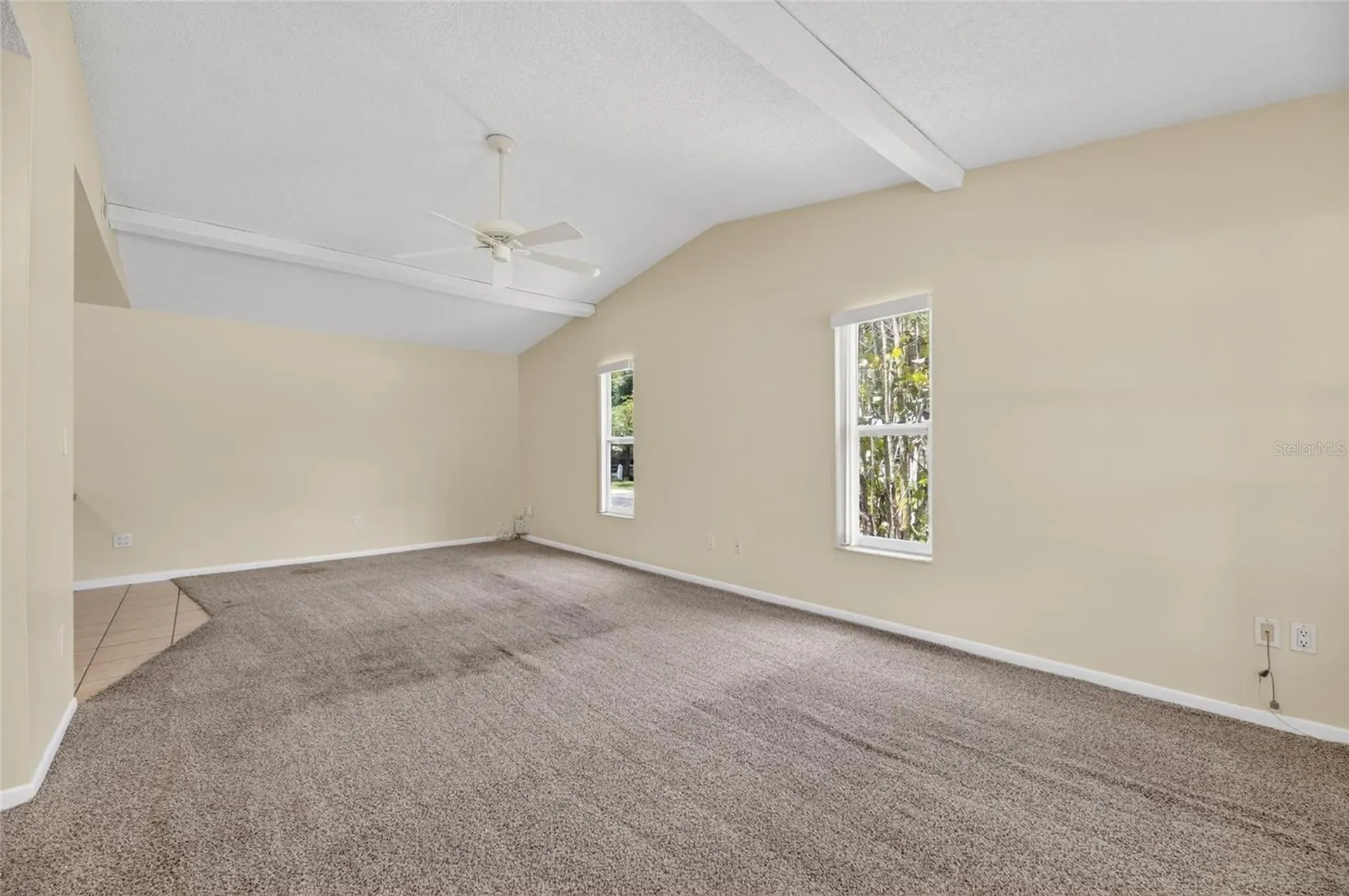 5001 Whiteway Drive Tampa FL 33617