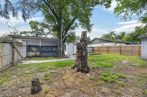 5001 Whiteway Drive Tampa FL 33617