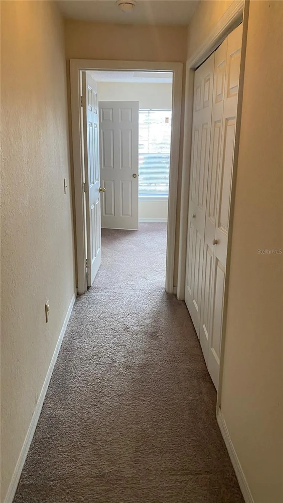 18001 Richmond Place Drive Tampa FL 33647