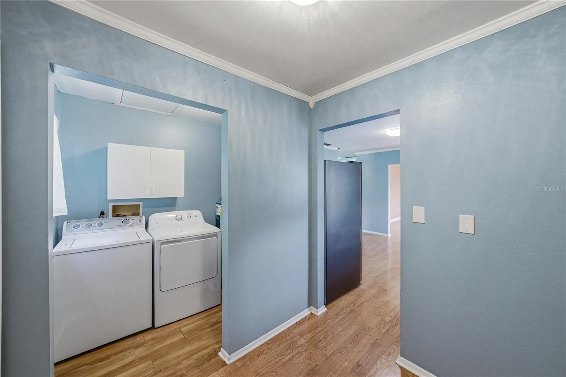 34240 Appaloosa Trail Wesley Chapel FL 33543