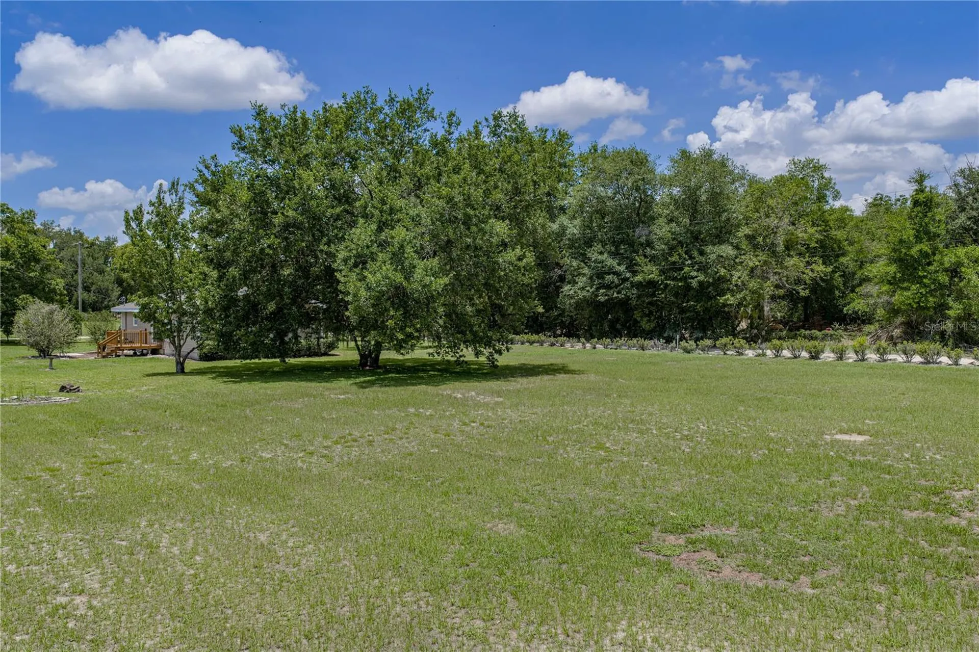 34240 Appaloosa Trail Wesley Chapel FL 33543