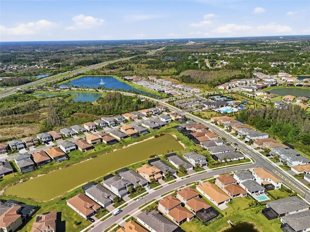 32801 Tree Of Life Avenue Wesley Chapel FL 33543