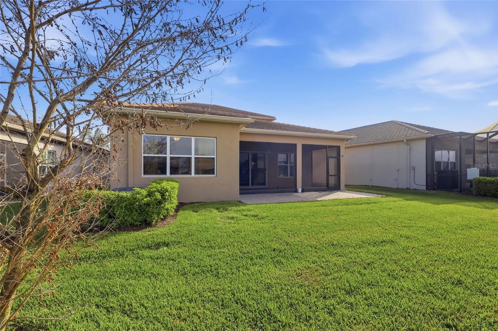 32801 Tree Of Life Avenue Wesley Chapel FL 33543