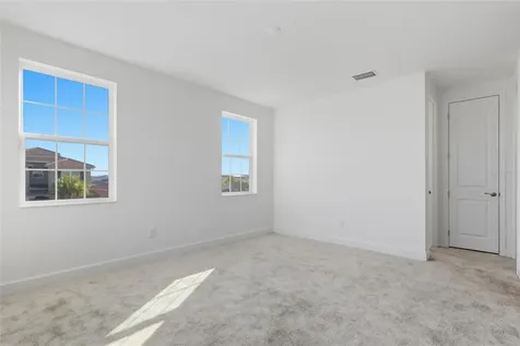 32801 Tree Of Life Avenue Wesley Chapel FL 33543