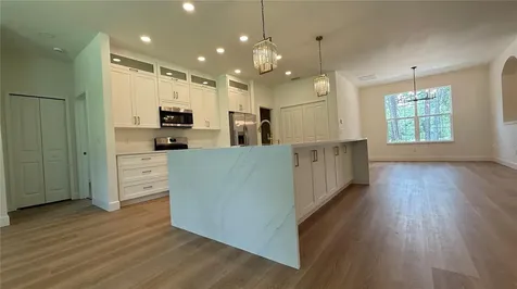 35031 Primrose Lane Webster FL 33597