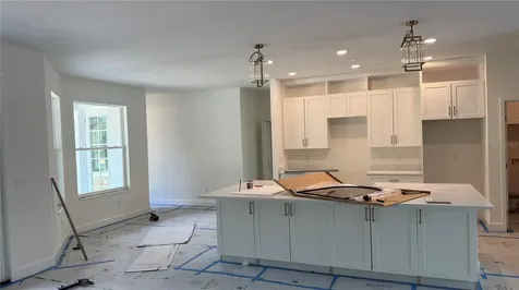 35031 Primrose Lane Webster FL 33597