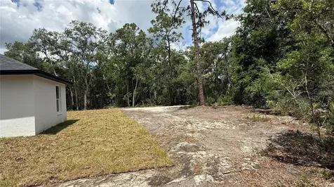 35031 Primrose Lane Webster FL 33597