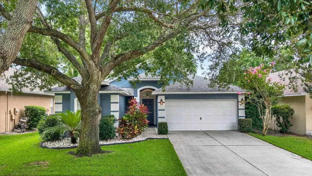 805 Straw Lake Drive Brandon FL 33510