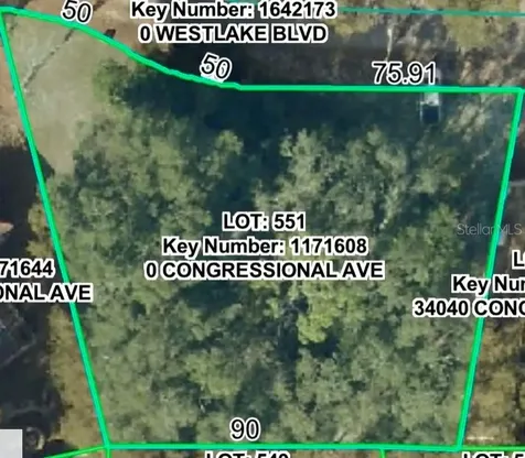 34036 Congressional Avenue Dade City FL 33523
