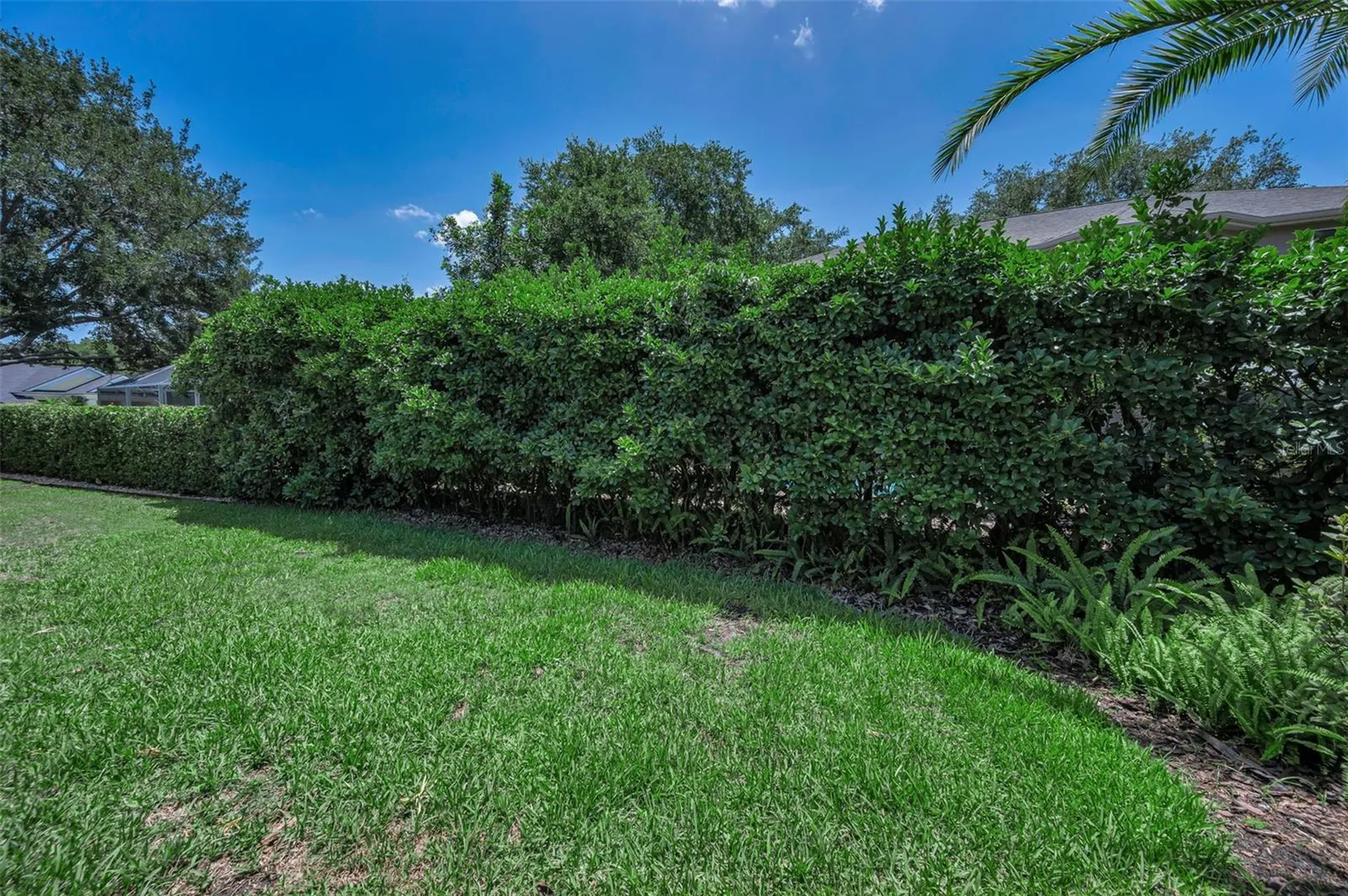 5287 Kernwood Court Palm Harbor FL 34685