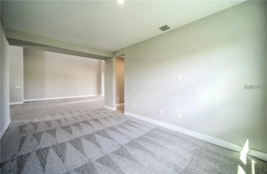 31808 Tortuga Shore Loop Wesley Chapel FL 33545