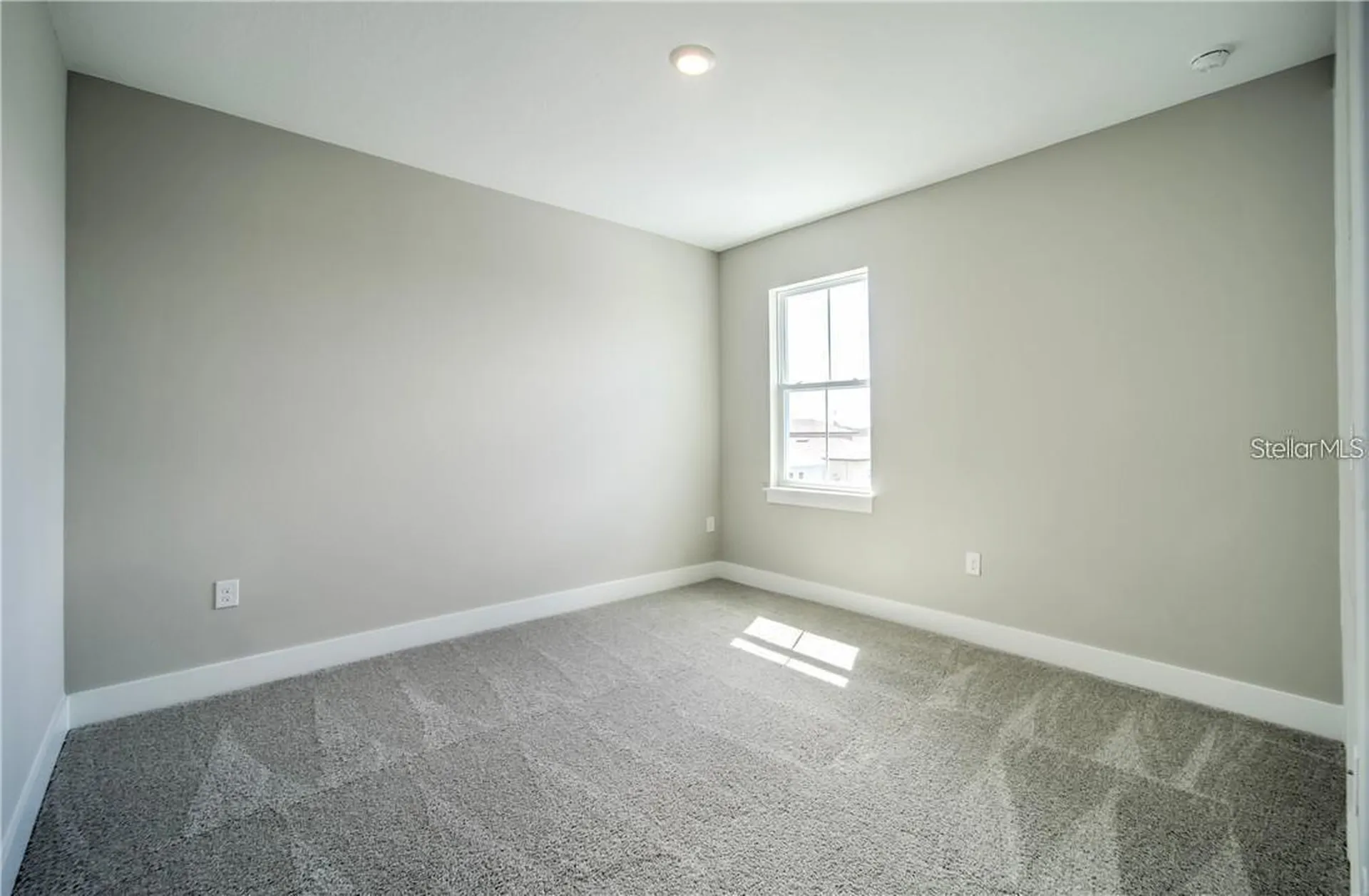 31808 Tortuga Shore Loop Wesley Chapel FL 33545
