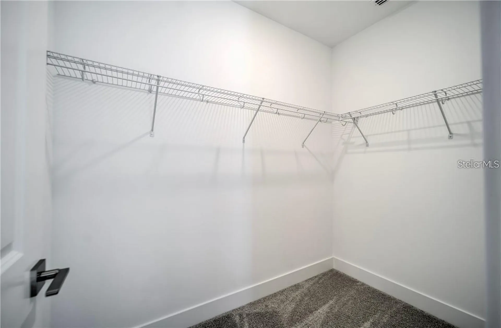 31808 Tortuga Shore Loop Wesley Chapel FL 33545
