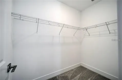 31808 Tortuga Shore Loop Wesley Chapel FL 33545