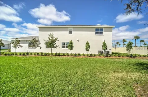31808 Tortuga Shore Loop Wesley Chapel FL 33545