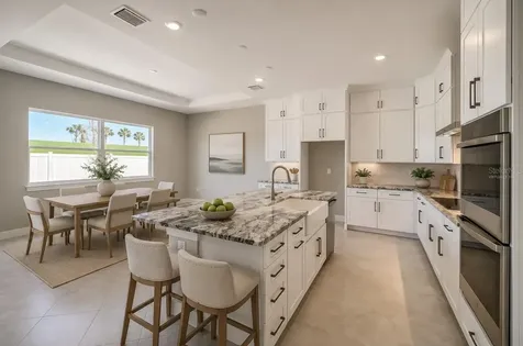 31808 Tortuga Shore Loop Wesley Chapel FL 33545