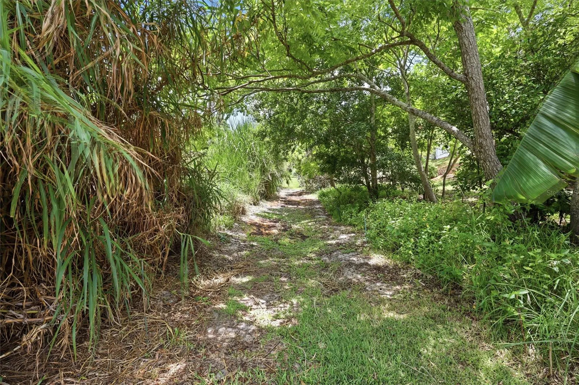 3036 Hyde Park Street Sarasota FL 34239