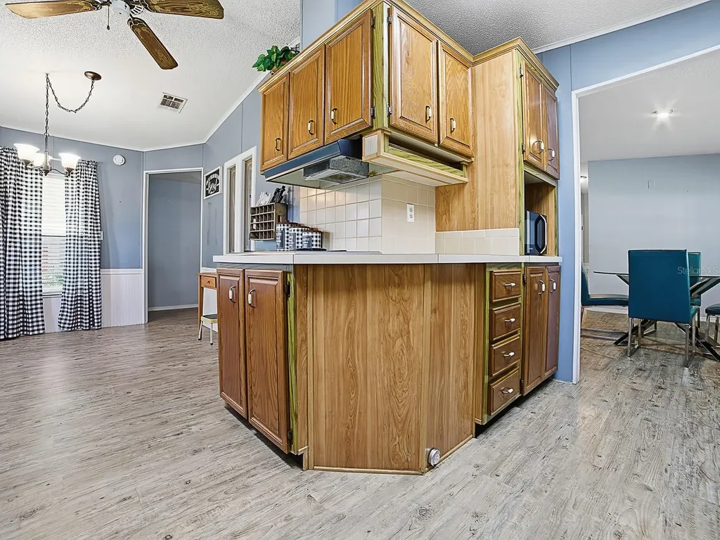 25035 Bellevue Leesburg FL 34748